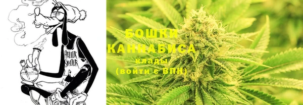 прущий лед Белокуриха
