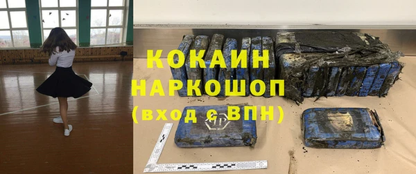 тгк Пересвет