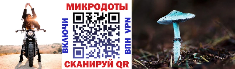 где купить наркоту  Армавир  Галлюциногенные грибы мухоморы 